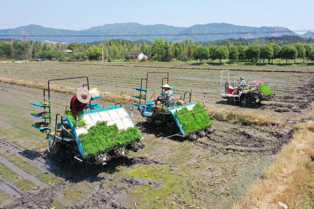 福建浦城：全程机械化为再生稻春耕春种按下&ldquo;快进键&rdquo;