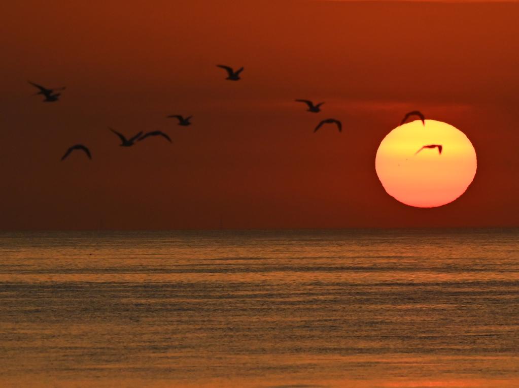 国际&middot;一周看天下