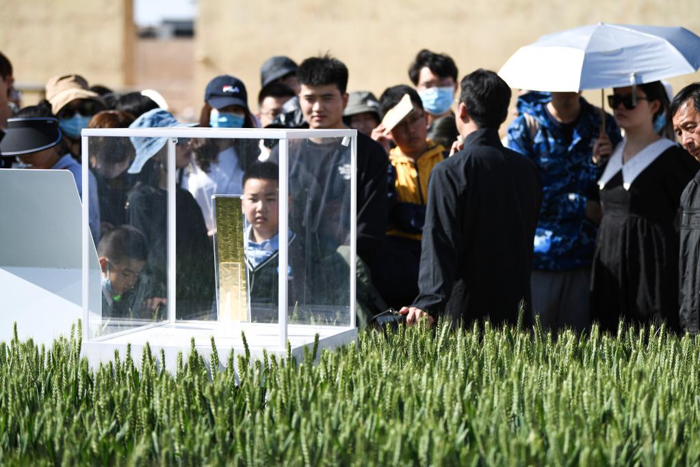 &ldquo;只有河南&middot;戏剧幻城&rdquo;引游客