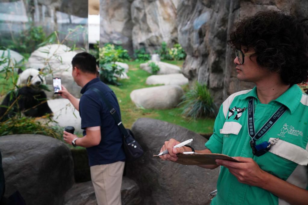 守护&ldquo;滚滚&rdquo;的幸福&mdash;&mdash;香港大熊猫&ldquo;奶妈&rdquo;&ldquo;奶爸&rdquo;修炼记