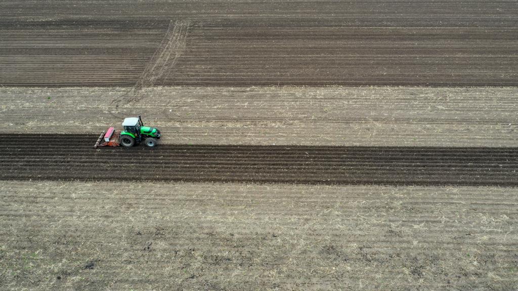 吉林：玉米已播计划面积逾六成