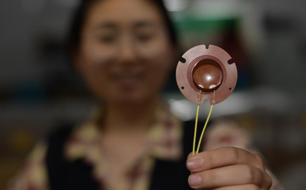 贵州凤冈：发展&ldquo;专精特新&rdquo;企业 壮大县域经济