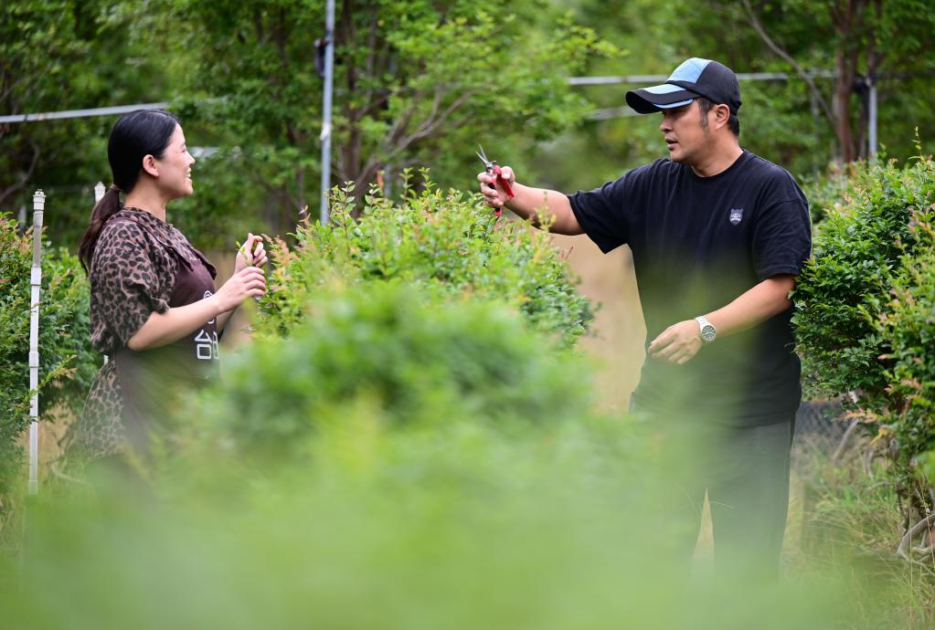 海峡一段情 结出&ldquo;甜蜜果&rdquo;
