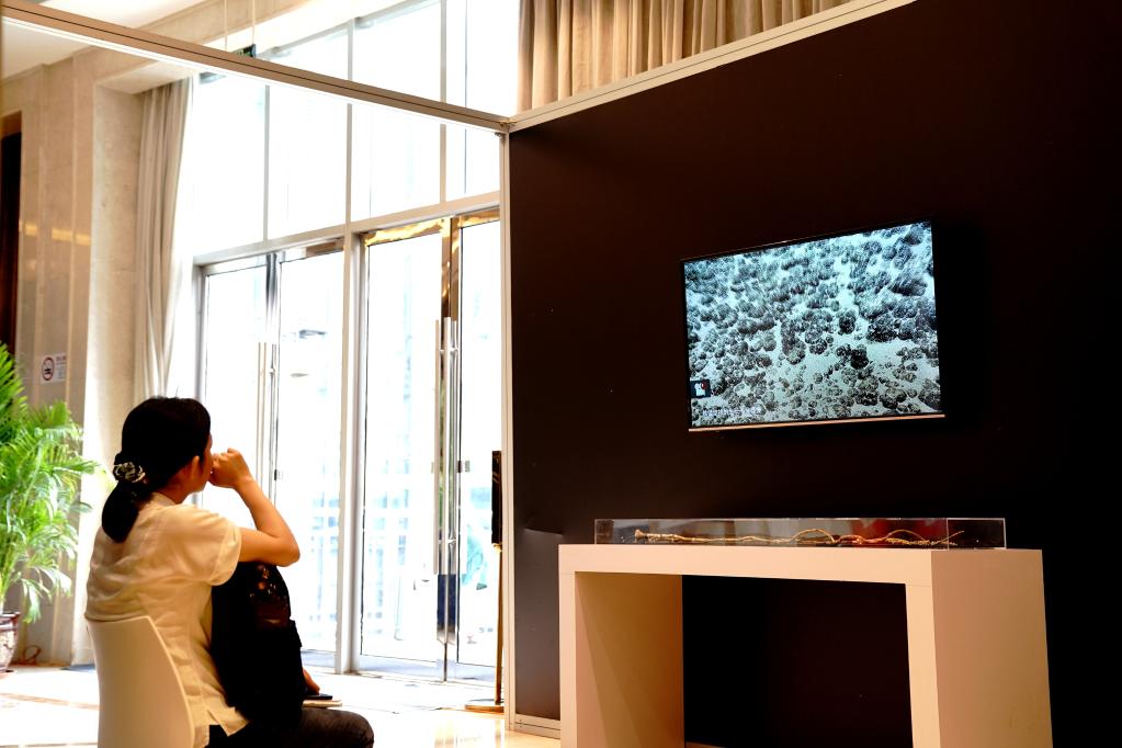 地球系统科学大会上的&ldquo;科普热&rdquo;