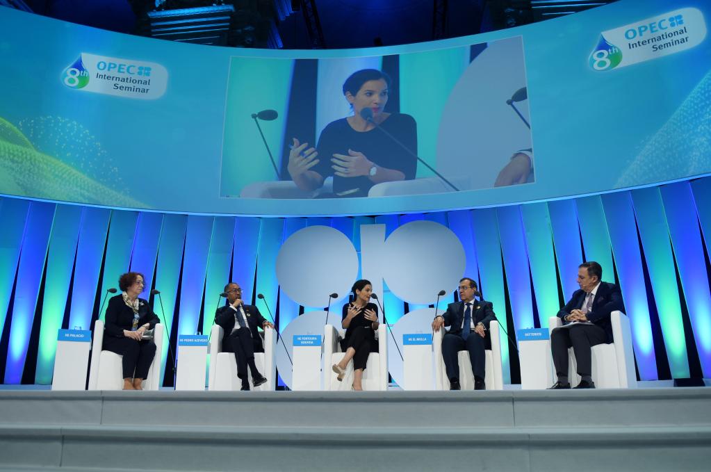 欧佩克国际研讨会：代表呼吁能源转型应可持续和有包容性