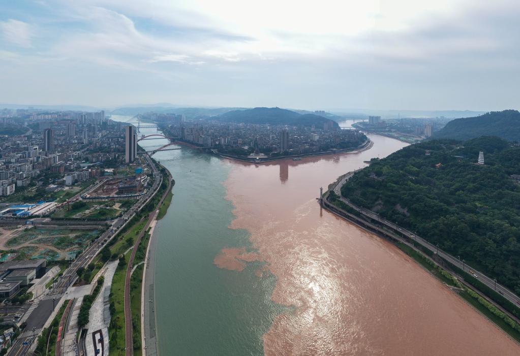 新时代中国调研行&middot;长江篇丨&ldquo;绿动&rdquo;宜宾：万里长江第一城