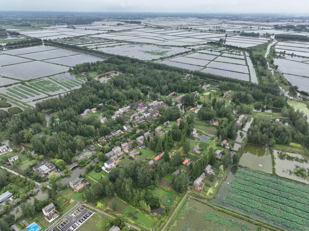 江苏阜宁：古村&ldquo;焕新&rdquo;迎客来