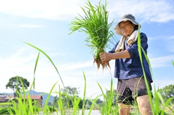 抢农时 忙&ldquo;双抢&rdquo;