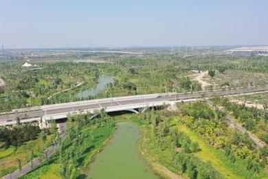 新华全媒+·高质量发展调研行丨雄安新区：中央绿谷及东部溪谷生态廊道芳容初绽