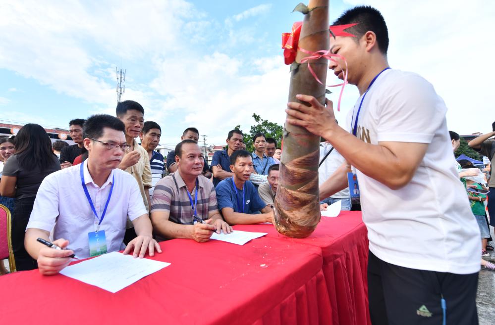 广西柳城：&ldquo;笋王&rdquo;争霸