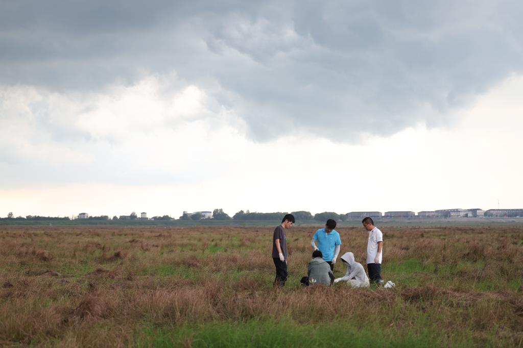 新时代中国调研行&middot;长江篇｜守护&ldquo;长江之肾&rdquo;的&ldquo;洞庭麻雀&rdquo;