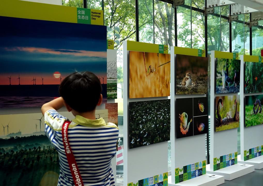 上海举办生态环保艺术节