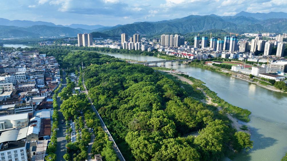 福建：古树&ldquo;老有所依&rdquo; 留住乡愁根脉