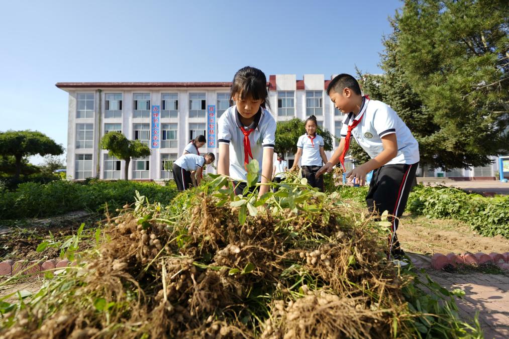 河北樂亭：“校園農場”助力勞動教育提質增效