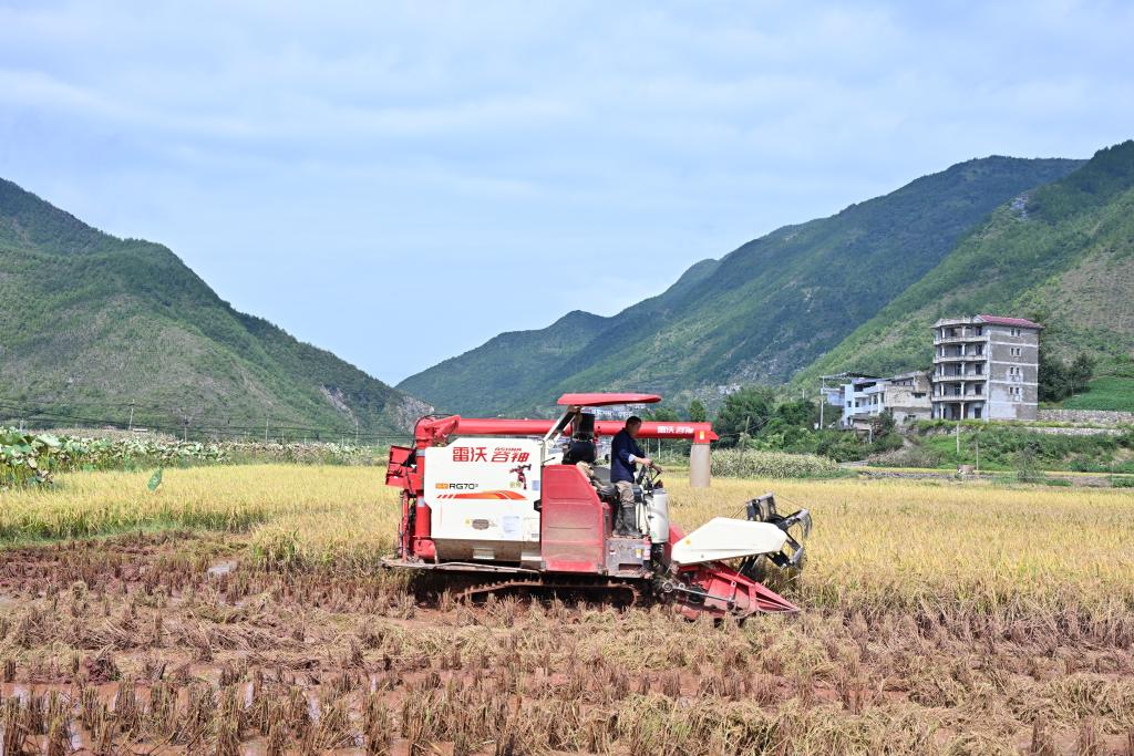 重庆巫山：全力以赴抢险救灾 最大限度降低灾害损失