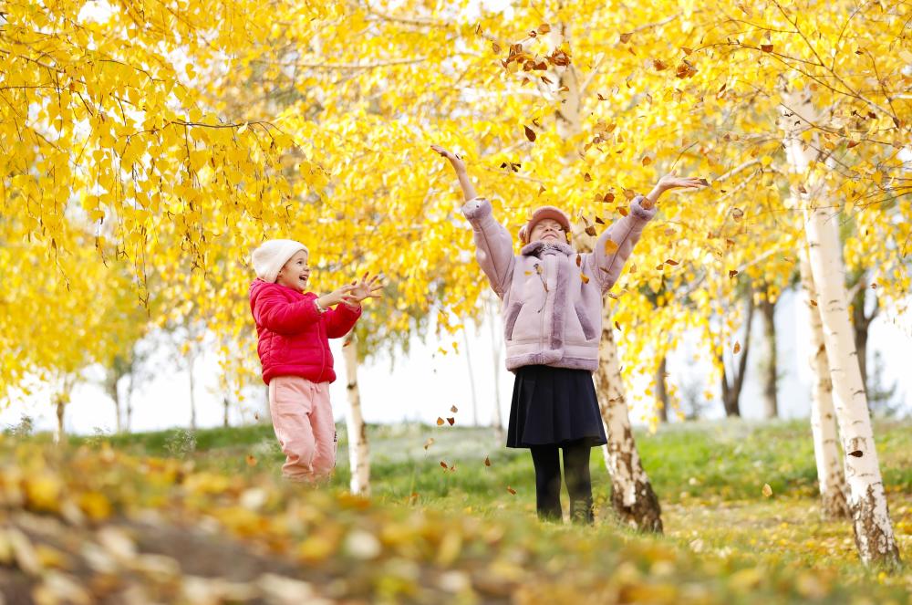 国际&middot;一周看天下