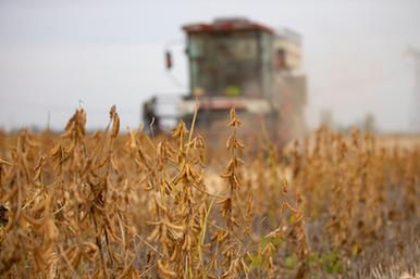 又是一年好&ldquo;丰景&rdquo;