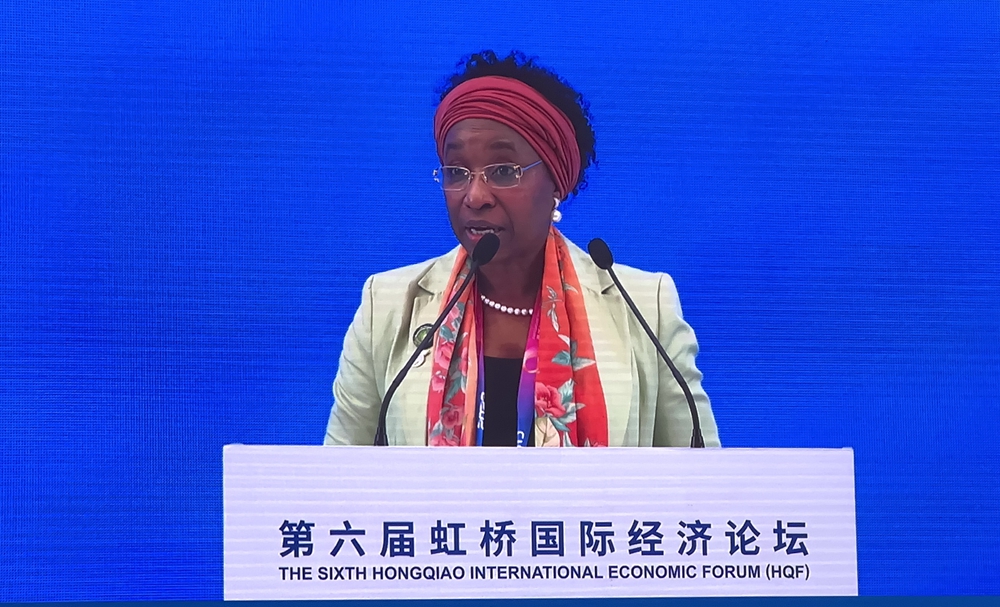 联合国工业发展组织总干事代表兼执行干事 法图&middot;海达拉