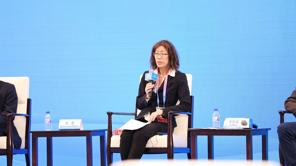 德国国际合作机构中德可持续发展中心德方主任 文思