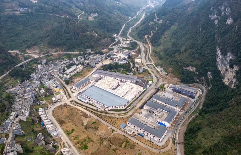 云南大关：竹产业助力乡村振兴&ldquo;节节高&rdquo;