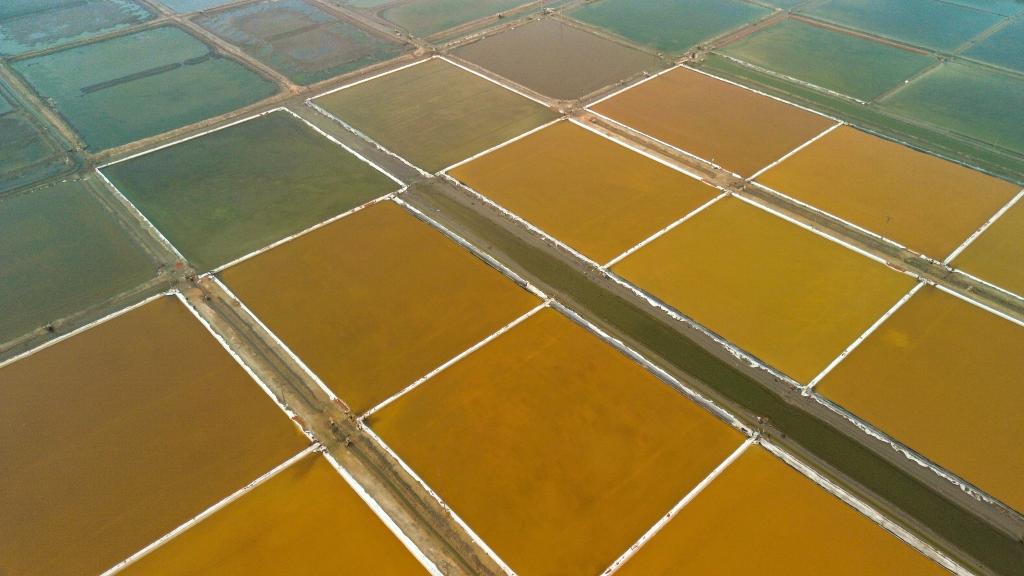 辽宁营口：秋日多彩盐田