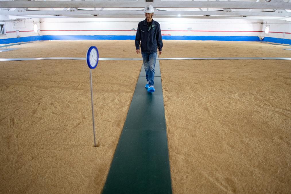 湖北仙桃：走进&ldquo;大国粮仓&rdquo; 感受&ldquo;科学储粮&rdquo;