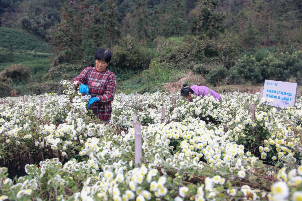 &ldquo;智慧农业&rdquo;助推产业提质增效