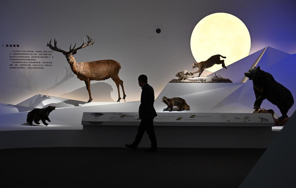 &ldquo;共同家园&mdash;&mdash;大自然的奇迹&rdquo;展览在国博举办