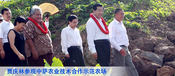 贾庆林参观中萨农业技术合作示范农场
