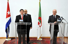 阿尔及利亚和古巴呼吁在利比亚迅速达成停火