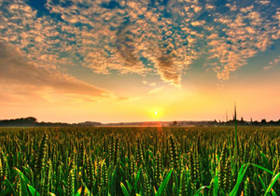 世界瑰丽夕阳美景