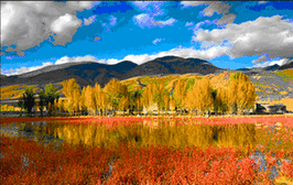 山青心欲燃 红树醉秋色