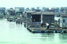 海上一叶 厚载古今