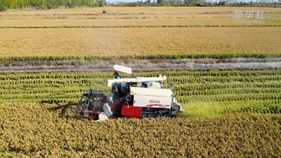 &ldquo;95后&rdquo;新农人：在希望的田野上&ldquo;播种&rdquo;梦想