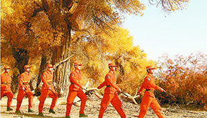 守护边陲自然资源的森林卫士