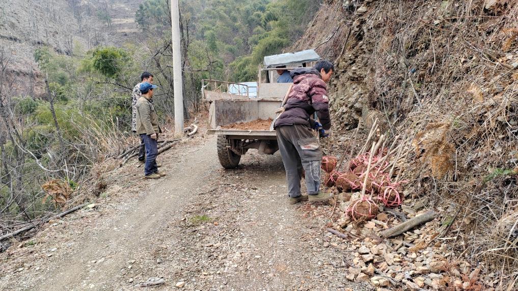 四中全会精神在基层丨森林里的“一