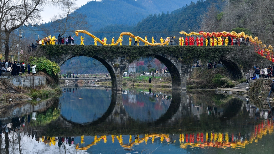 四中全会精神在基层丨“生态医生”