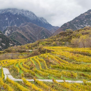 文化中国行·传统村落人文影像志｜