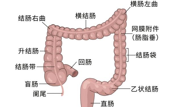 新华网_让新闻离你更近