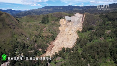 新华网_让新闻离你更近