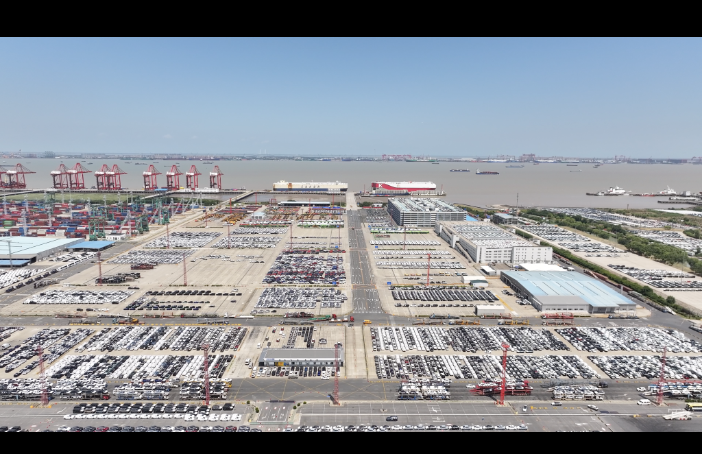 四中全会精神在基层丨不到30秒，一辆汽车出口！这座港口涌动“开放密码”