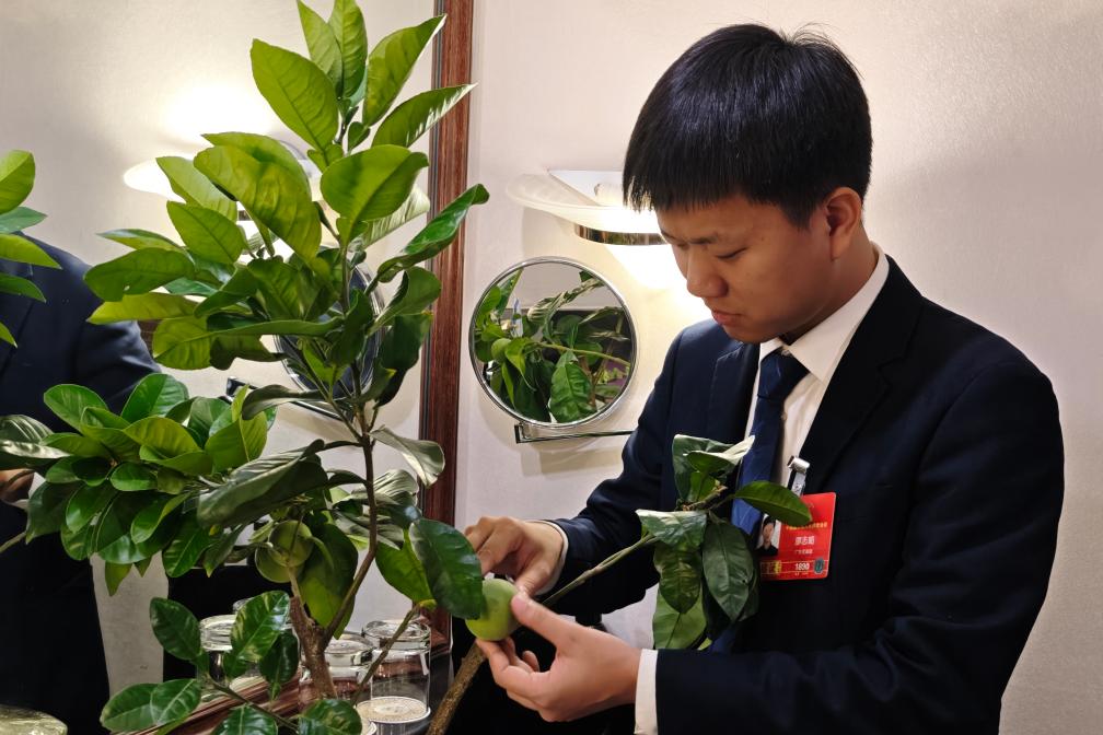 两会现场速递丨带苗参会！“90后”新农人代表“开箱”土特产