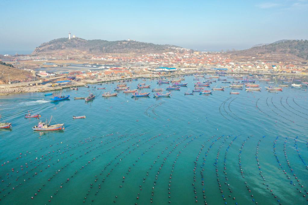 解码文化自信的城市样本丨山海毓秀起宏图——解码“仙境海岸”烟台的文化自信样本