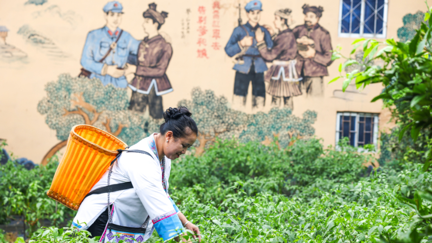 一个“红军村”，长征精神代代传