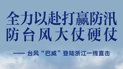 综述丨中国智慧促进人工智能向善普
