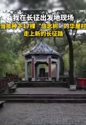 当年种下17棵“信念树”的华屋村，走上新的长征路
