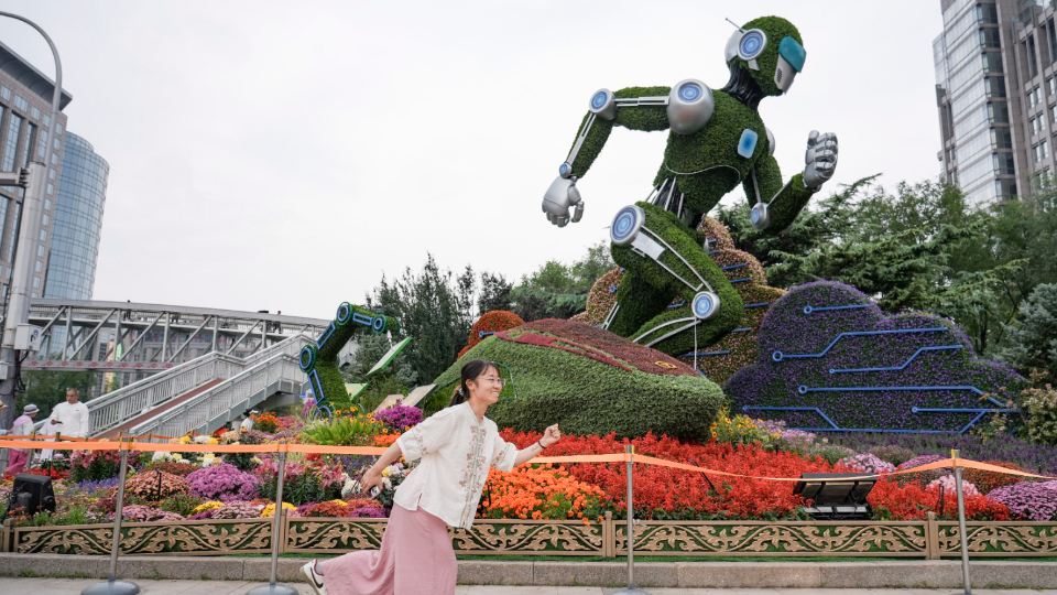 大花坛里的“中国芯”：北农智慧让花卉更出彩