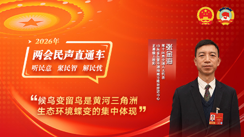 全国人大代表张金海：候鸟变留鸟是黄河三角洲生态环境蝶变的集中体现