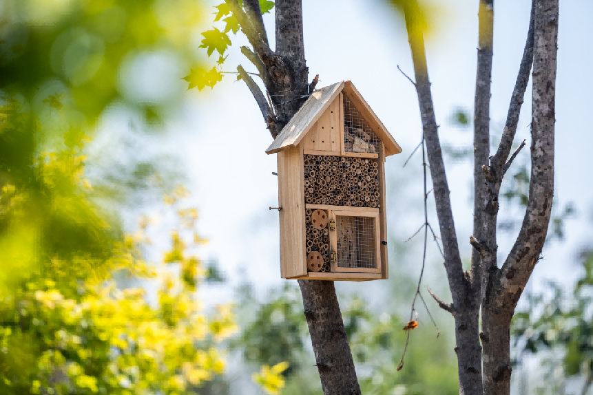 数智领航高端制造 中德共创产业标杆——奥迪一汽超级智能生态工厂以数字化重塑高端新能源汽车制造插图4 数智领航高端制造 中德共创产业标杆——奥迪一汽超级智能生态工厂以数字化重塑高端新能源汽车制造插图4