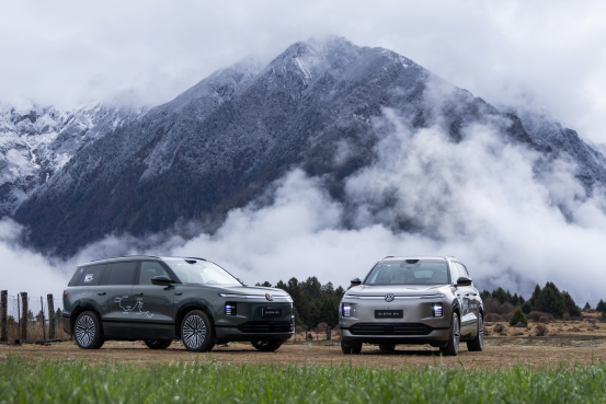 上汽大众ID. ERA  9X |“万里长歌”活动来到西藏  探访春日桃花美景_商业头条网